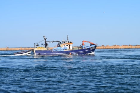 Direction la charmante ville d’Olhão