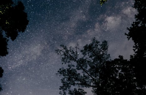 What are the best things to do in the Algarve after dark?