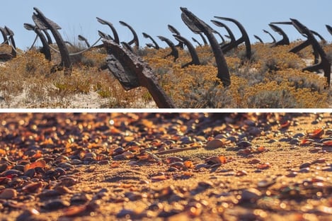 L’Île de Tavira et les superbes plages