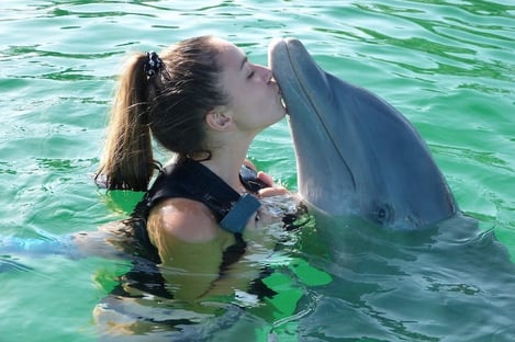 Approcher les dauphins à Albufeira