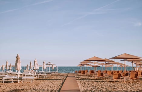 Comporta: A Protected Coast Between Dunes and Rice Paddies