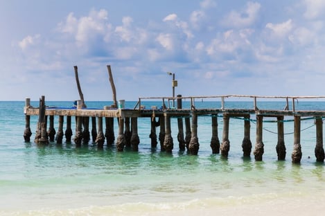 Comporta, une belle terre sauvage