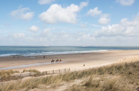 What to do in Comporta? Experiences and activities with family