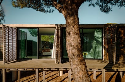 What to do in Comporta: Beaches, nature and the Portuguese way of life