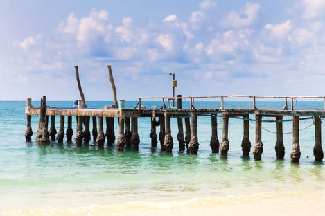 Immersion in the authentic Portugal: the discovery of the protected lands of Comporta