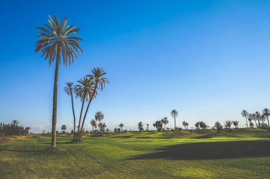 Villa rentals in Amelkis and other areas