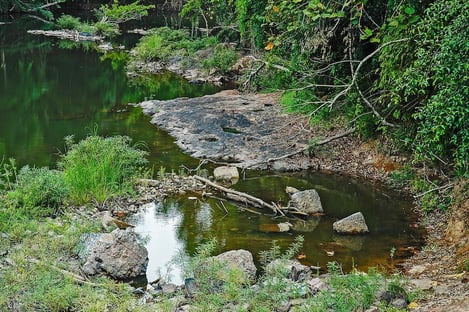 11- Organise a hike in the jungle of Khao Yai