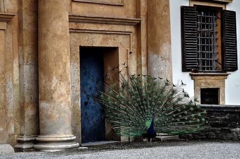 The historical side of the city