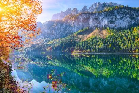 Discover the most Enchanting Forests in Austria