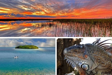 A little bit of nature!