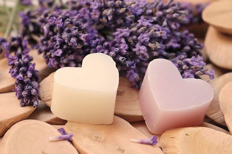 La fleur polyvalente et bien-aimée