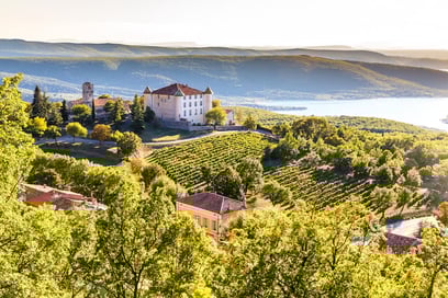 Discover the Best Vineyards for Wine Tastings in Provence