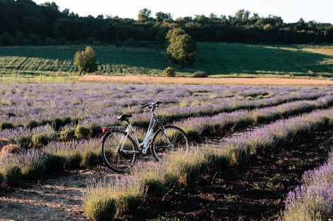 Bike Rides to Explore Provence