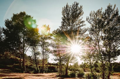 Where to go in Provence? Selection of the Best Places to Stay