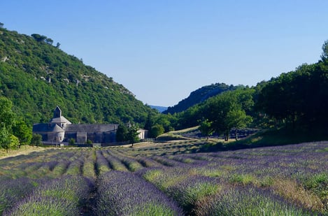 Saint-Rémy-de-Provence: History and Culture