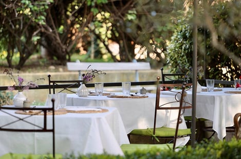 Étoiles et saveurs : Évasion gastronomique en Provence