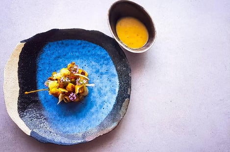 Étoiles et saveurs : Évasion gastronomique en Provence