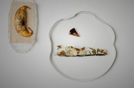 Étoiles et saveurs : Évasion gastronomique en Provence