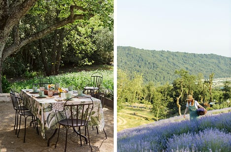 Why choose Provence for a family holiday?