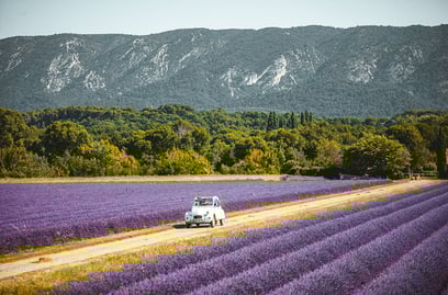 An Insider Guide to Discover the Best Things to Do in Provence, France
