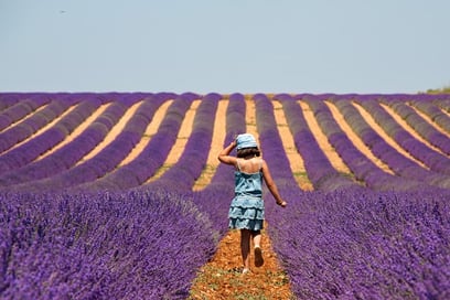 Des vacances en famille dans le Luberon