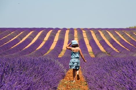 Your Family Holiday in the Luberon