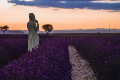 Selected nature walks in the Luberon