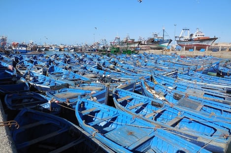 Essaouira's fishing port and fish market