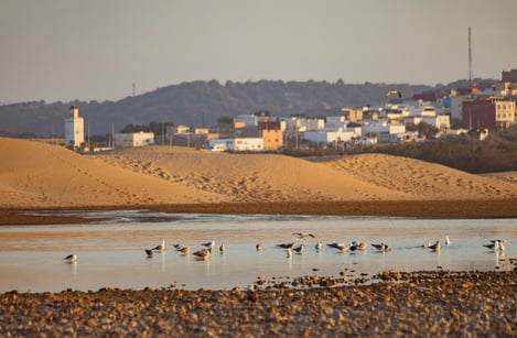 Les plus belles plages et villages à visiter autour d'Essaouira