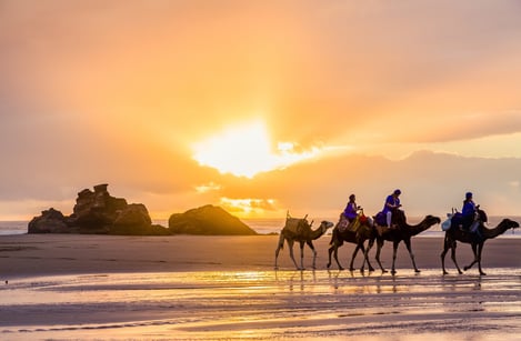 Itinéraire et excursions dans la campagne d'Essaouira
