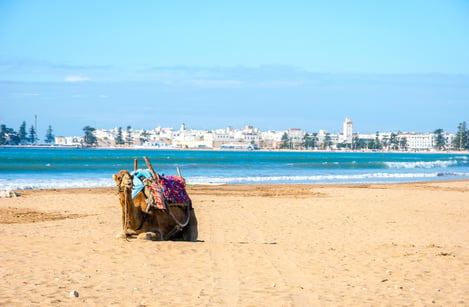 Que voir autour d'Essaouira : nos plus belles découvertes