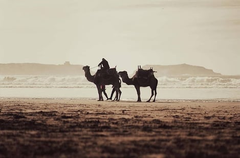 Essaouira: An ideal base for discovering Morocco in a unique way