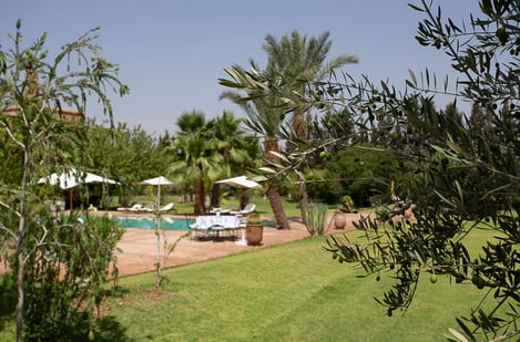 Activities and excursions: Golf & Things to do in the Palmeraie area