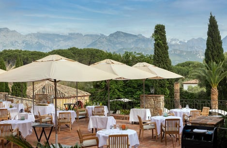 Discover our selection of nice restaurants in Calvi and the surrounding area 