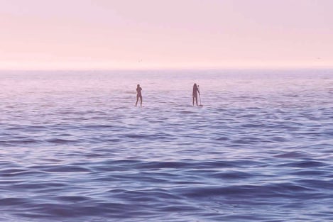 Physical explorations in nature