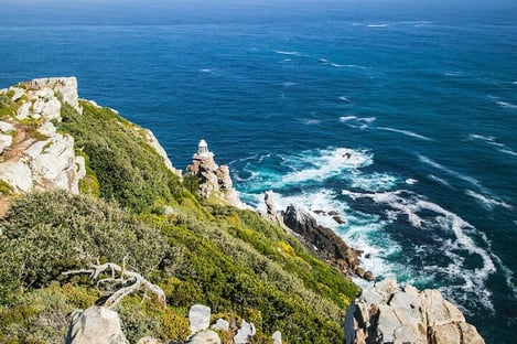 Go on the Wine Route to Constantia Valley