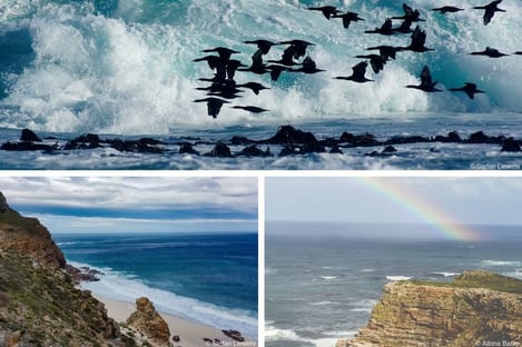The end of the world at hand: the Cape of Good Hope