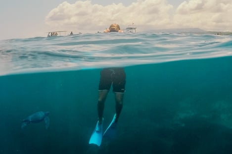 Essentials for those tricky environments