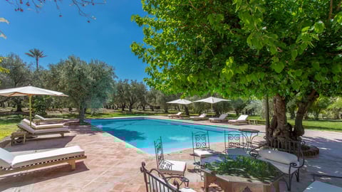 Villa Royaume des Oliviers, Location à Marrakech