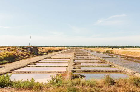 Île de Ré: An island paradise for cycling, oysters, and laid-back holidays   