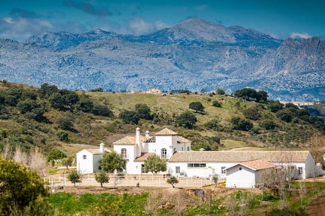 La campagne Andalouse