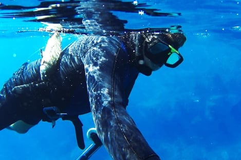 Le plongée sous glace