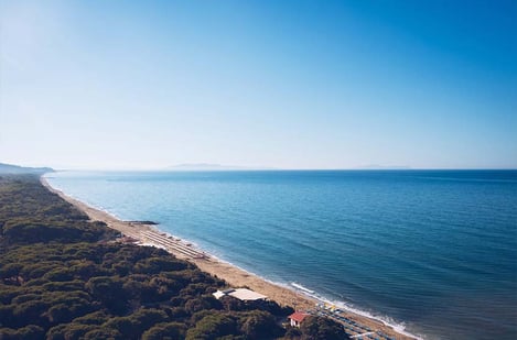 Tuscany: Nice sandy beaches and pine forests