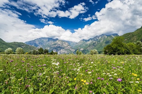 D’autres activités à découvrir