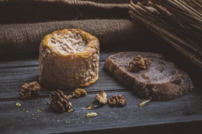 The Most Dangerous Cheese: Casu Marzu