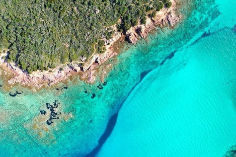 A Mediterranean way of life