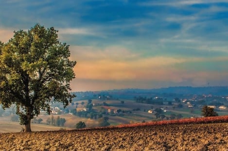 News: Ribbon cut on the 59th edition of the Nursia Black Truffle Fair