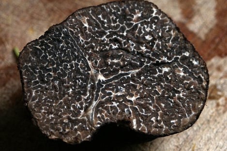 What makes Nursia’s black truffles so prestigious?