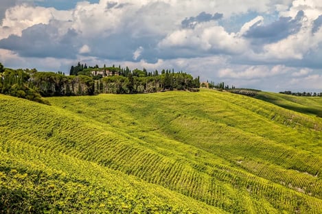 Things to do in the region