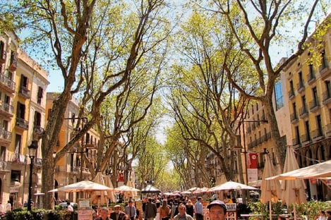 Découvrez la Rambla : une rue pas comme les autres !